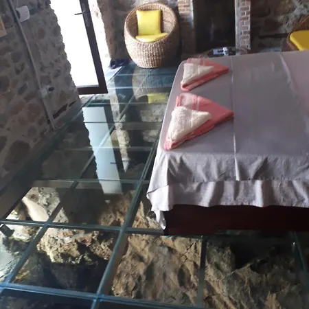 Nuci's Glass Floor