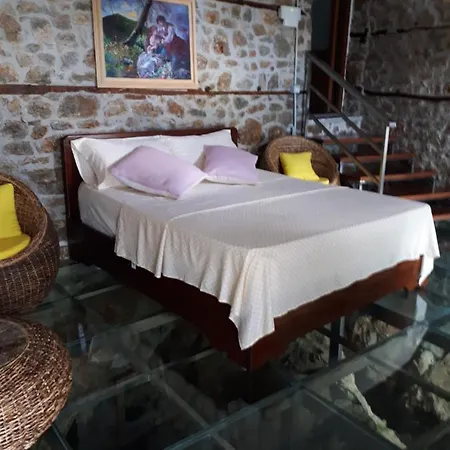 Nuci's Glass Floor