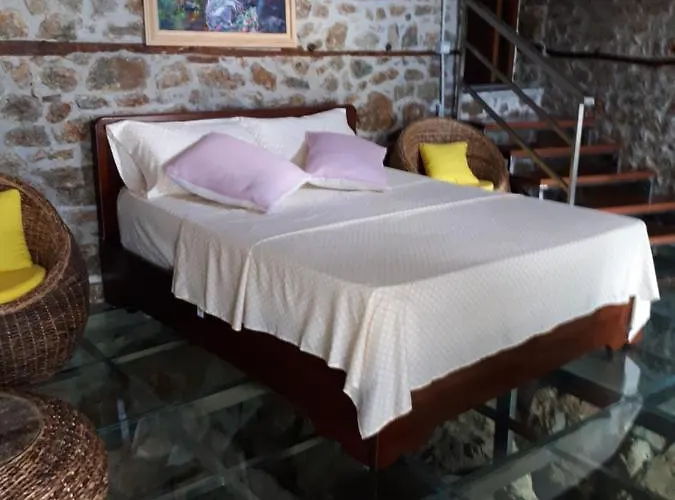Nuci's Glass Floor