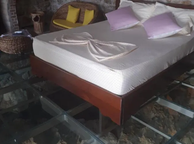 Nuci's Glass Floor * Tushemisht