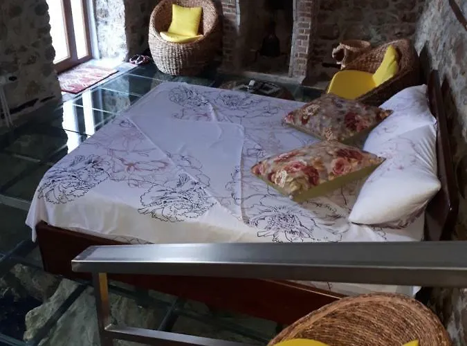Nuci's Glass Floor